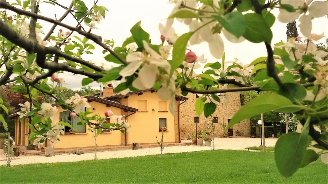 Agriturismo Il Podere Hotell Petrignano Exteriör bild